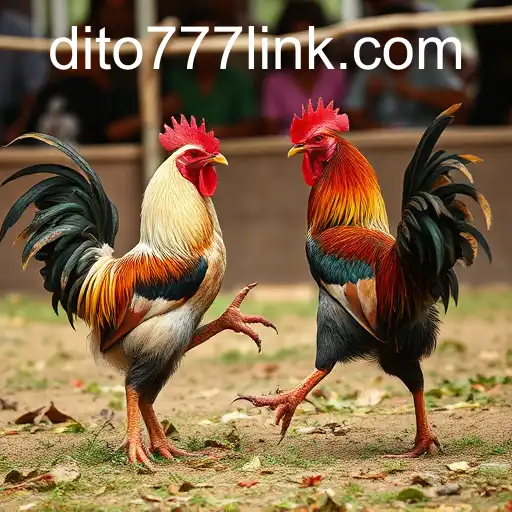 Cockfighting: An Examination of Tradition and Controversy